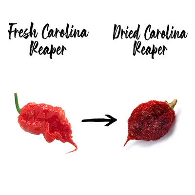 Carolina Reaper Chile - NY Spice Shop - Buy Scorpion Chile Online