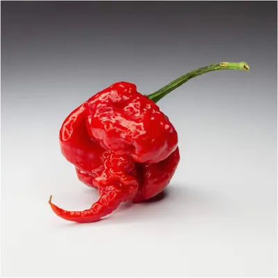 Carolina Reaper Hot Sauces | buy Hot Sauce Australia | ChilliBOM