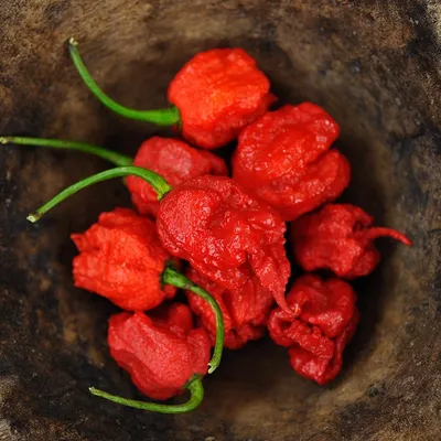 Carolina Reaper: How to Safely Eat the World's Hottest Chili Pepper