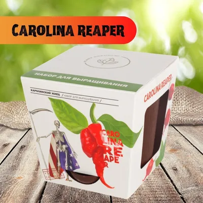 100 Seeds Carolina Reaper - Price: €5.50