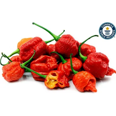 50+ FREE Orange Carolina Reaper Chili Pepper Seeds World Record Hot Peppers  Seed | eBay