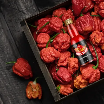 Приобрести с доставкой Carolina Reaper натуральный острый ферментированный  соус со свежего перца | ферма Вогняр