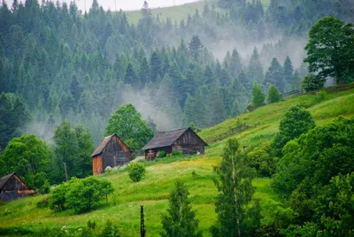 Климат Карпат: когда и почему стоит ехать отдыхать - Отель «Коруна»