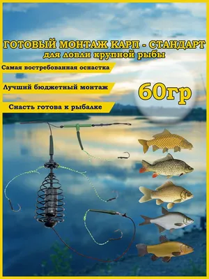 Готовый монтаж рыболовный Карп-Стандард 60гр,фидерный монтаж,оснастка  рыболовная,для донной снасти - купить по выгодной цене в интернет-магазине  OZON (706948295)