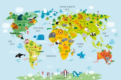 Фотообои Карта мира на русском на стену. Купить фотообои Карта мира на  русском в интернет-магазине WallArt