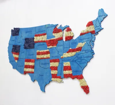 Карта США Векторная карта США, Соединенные Штаты Америки Иллюстрация  вектора - иллюстрации насчитывающей соединено, нация: 157525912