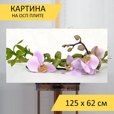 Картина \"Орхидея\", холст 50х70 см., масло., художник Gumanenko Victoria.  Продажа картин в Киеве, ручная работа. Доставка по Украине и за рубеж  тел.+380502532222