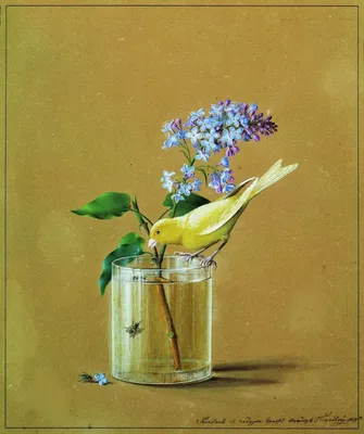 Ф. Толстой: красота природы в каждом цветке, фрукте и птице» — создано в  Шедевруме