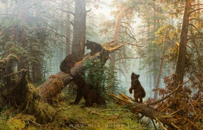 Картина три медведя: фото в высоком разрешении