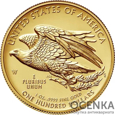 Золотая банкнота 100 долларов США Лот №6538566018 - купить на Crafta.ua