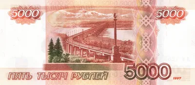 Сувенирные деньги в пачке \"5000\" рублей - бумажные денежные купюры для  выкупа, игровые купить по выгодной цене в интернет-магазине OZON (883226503)