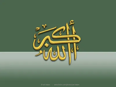 Аллаху Акбар, Аллах всегда ведик. | TikTok
