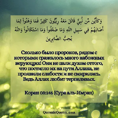 Allah любит терпеливых🕊 - Allah is great - Wattpad