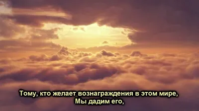 ◾Пророк Аюб عليه السلام болел не дни, не месяц, и даже не год. Он болел  целых 17 лет! | SALYAF MEDIA | Дзен