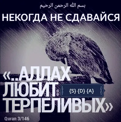 Alhamdullilah за все.. | ВКонтакте