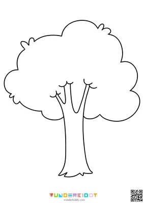 Что такое Эбен? Эбеновое дерево • КЮЗ ЮвелирЭлит