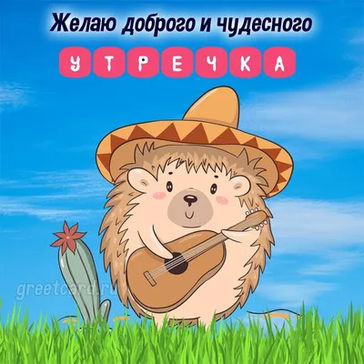 с добрым утром ежик｜Búsqueda de TikTok
