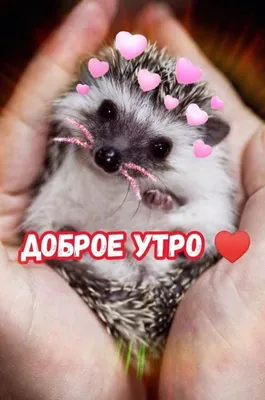 Доброго утра!!
