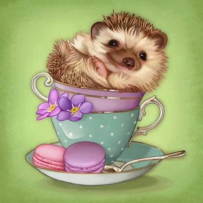 ежик🦔 #доброеутро | TikTok