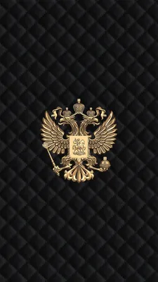 Купить вымпел вышитый герб россии большой с бахромой в интернет-магазине  военной одежды Барракуда