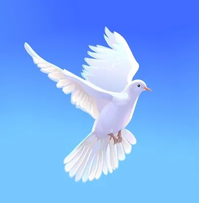 В Австралии могут убить пересекшего океан голубя из США - РИА Новости,  14.01.2021