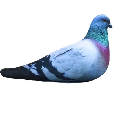 Красивые птицы голубя голубя красочный Стоковое Фото - изображение  насчитывающей цветасто, красивейшее: 176985196