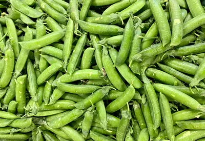 Горох Импульс - сорт зеленого гороха, описание, отзывы, купить семена |  Агроэксперт-Трейд