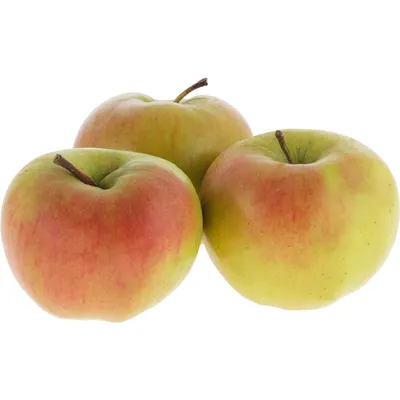 Blumentag\" RDF-04 Муляж в миниатюре \"Яблоко\" 4.7 х 6 шт. 3.5 см 01 зел.  яблоко купить за 150,00 ₽ в интернет-магазине Леонардо