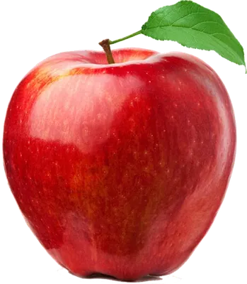 Купить Яванское яблоко в Fruitonline