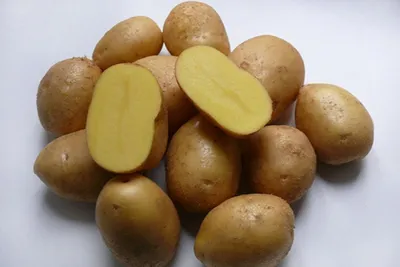 Картофель: польза и вред, что будет, если есть картошку каждый день.  Спорт-Экспресс