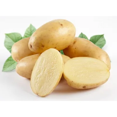 Как увеличить урожай картофеля: пошаговая инструкция с советами садоводов