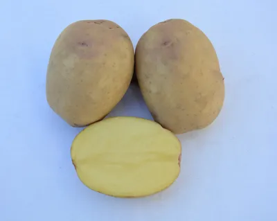 Купить картофель новый урожай +- 500 г, цены на Мегамаркет | Артикул:  100032332900