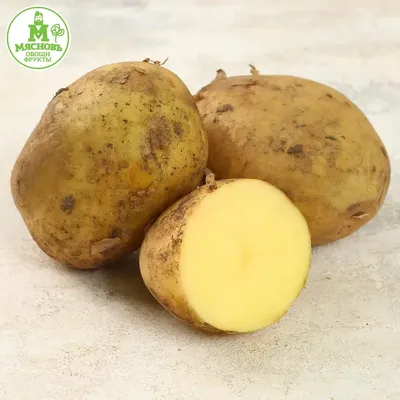 Диетолог объяснила, сколько картофеля можно съесть без вреда для фигуры –  Москва 24, 03.08.2021