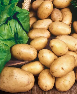 Картофель нового урожая по рекордно низким ценам в Грузии за всю историю  EastFruit — даже ниже, чем цены на прошлогодний картофель • EastFruit