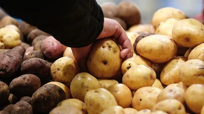 Картофель фри Чуррос 2,5 кг зам., Турция - купить оптом в Москве