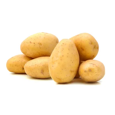 Как определить ядовитый картофель