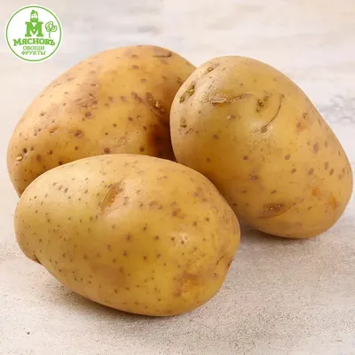 Американский «расплющенный» картофель с травами (smashed potato) - наш  любимый рецепт картошки | Кулинарное путешествие вегана | Дзен