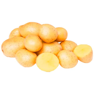 Семенной картофель Жуковский ранний (порция 500 г)