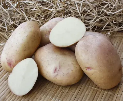 Доставка Картофель на дом по низкой цене. globus-online.kg.