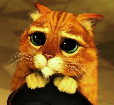 Картинка кота из шрека с грустными глазами