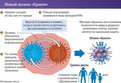 Настольная игра Кто накормит Кракена? - купить в Минске ZnaemIgraem.BY по  низкой цене.