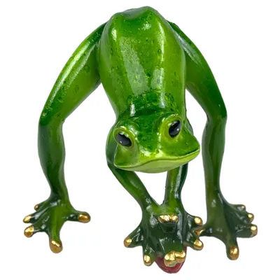 Съедобная лягушка, или прудовая лягушка | zoo-ekzo.com- Экзотические  животные