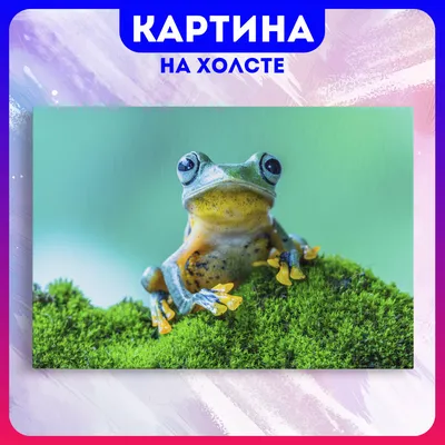 Картина Лягушки. Размеры: 60x80, Год: 2022, Цена: 25000 рублей Художник  Филаткина Елена