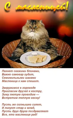 Масленица пришла: как правильно выбрать блины и продукты для их  приготовления - Лента новостей Крыма