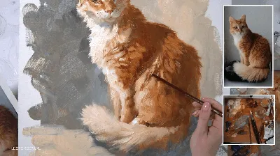 Картина маслом \"Сами с усами. Портрет кота\" 40x40 JR210810 купить в Москве