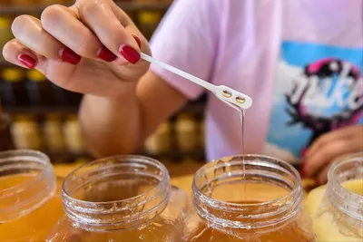 Как выбрать и хранить мед, где покупать, много ли подделок: советы эксперта