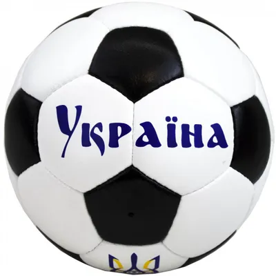 Официальные мячи АМФР