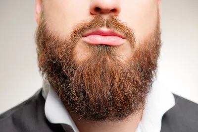Мультяшный мужчина с бородой - 70 фото
