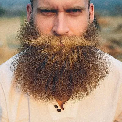 Картина на холсте \"Мужчина с бородой\"