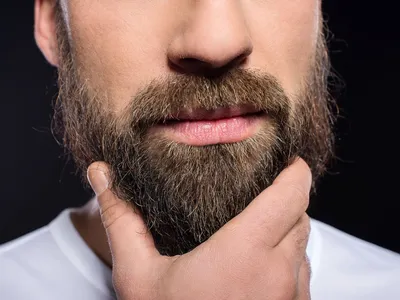 Картинка мужчина с бородой фотографии